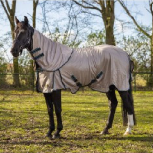 Fly Rug
