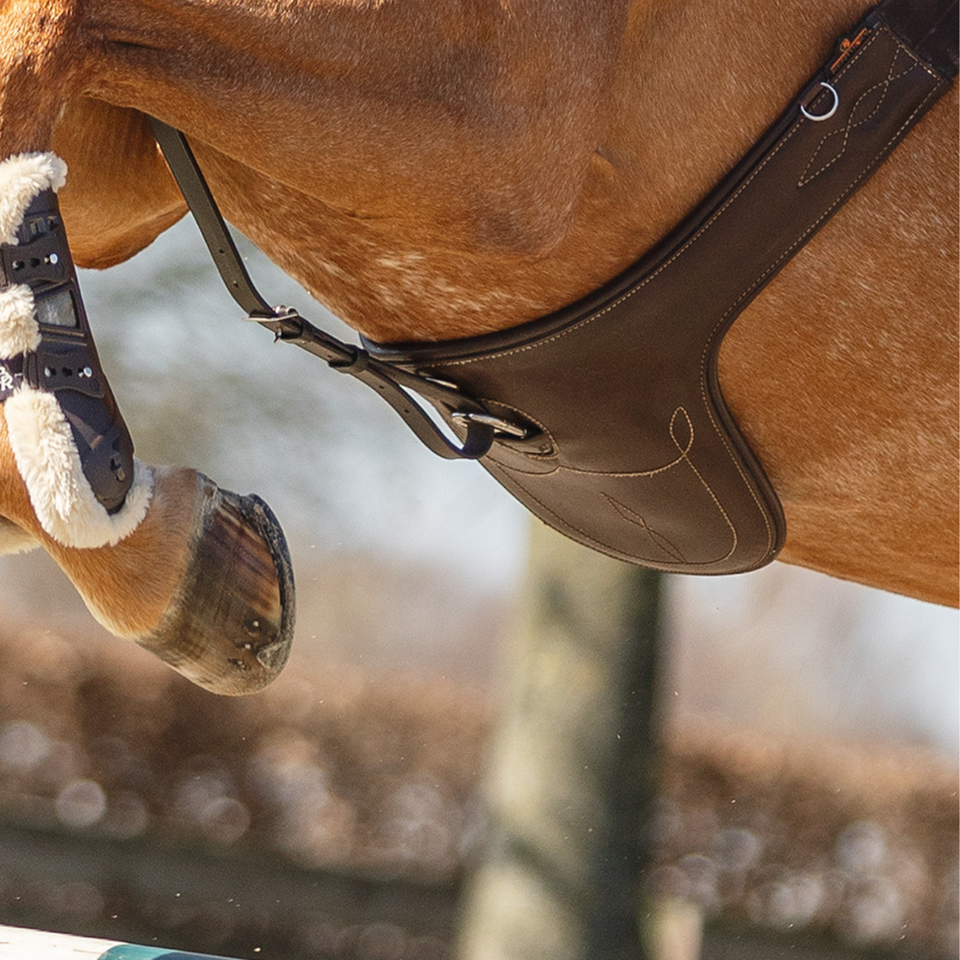 Jumping Girth