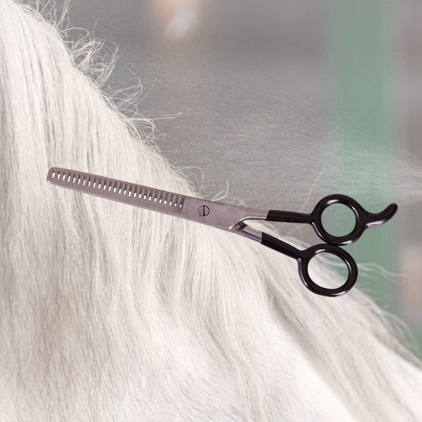 Scissors