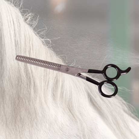 Scissors