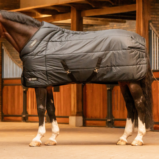 Stable Rug