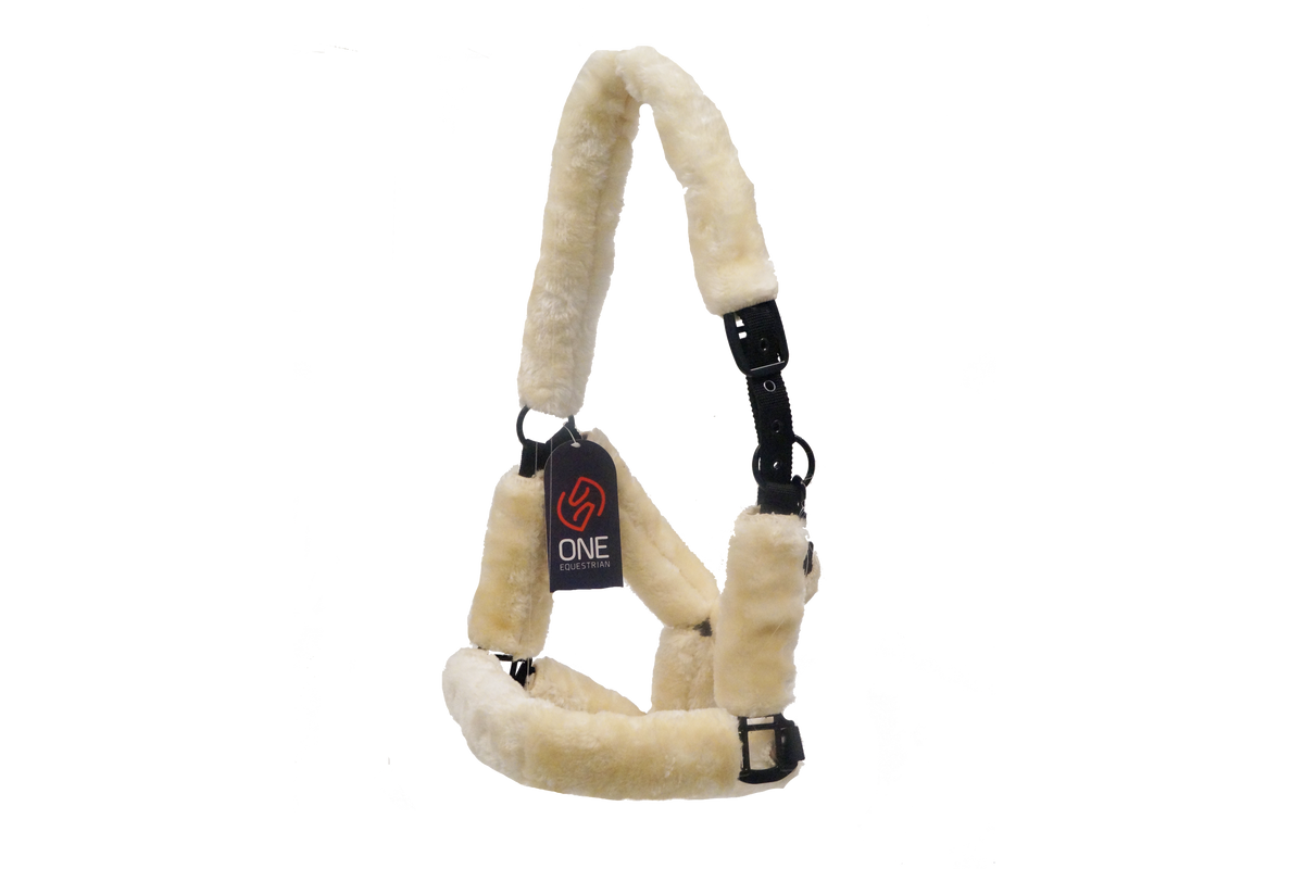 One Headcollar nylon with shee pskin