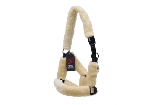 One Headcollar nylon with shee pskin
