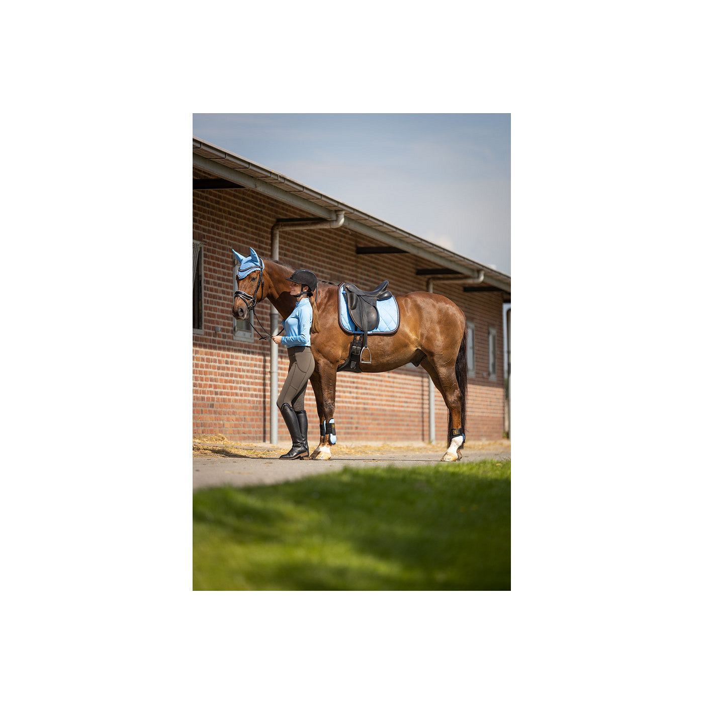 BR Saddle Pad Event revived Dr