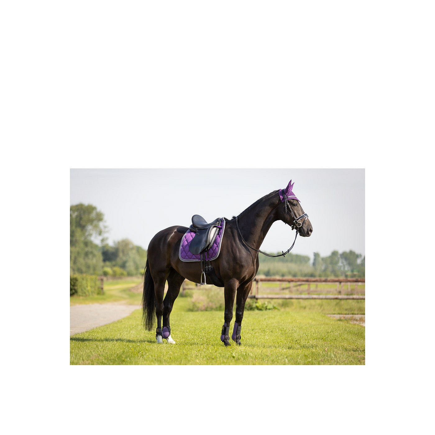 BR Saddle Pad Event revived Dr