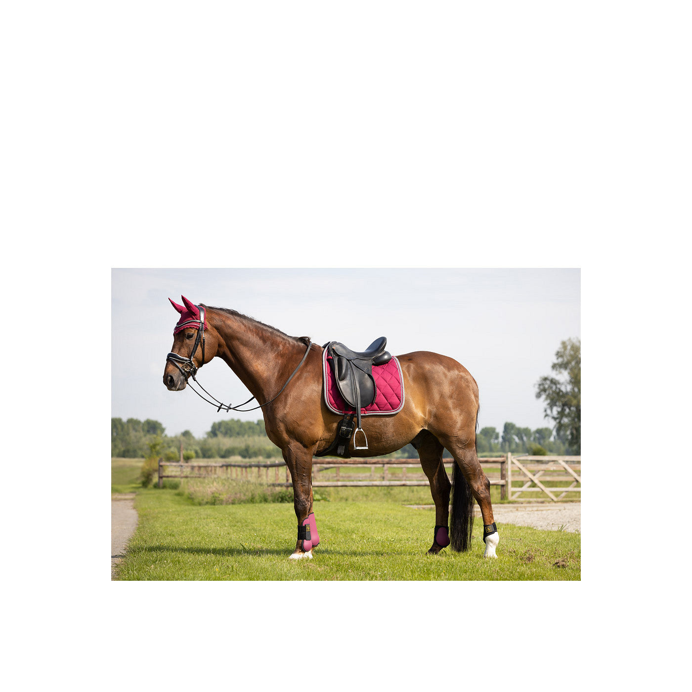 BR Saddle Pad Event revived Dr