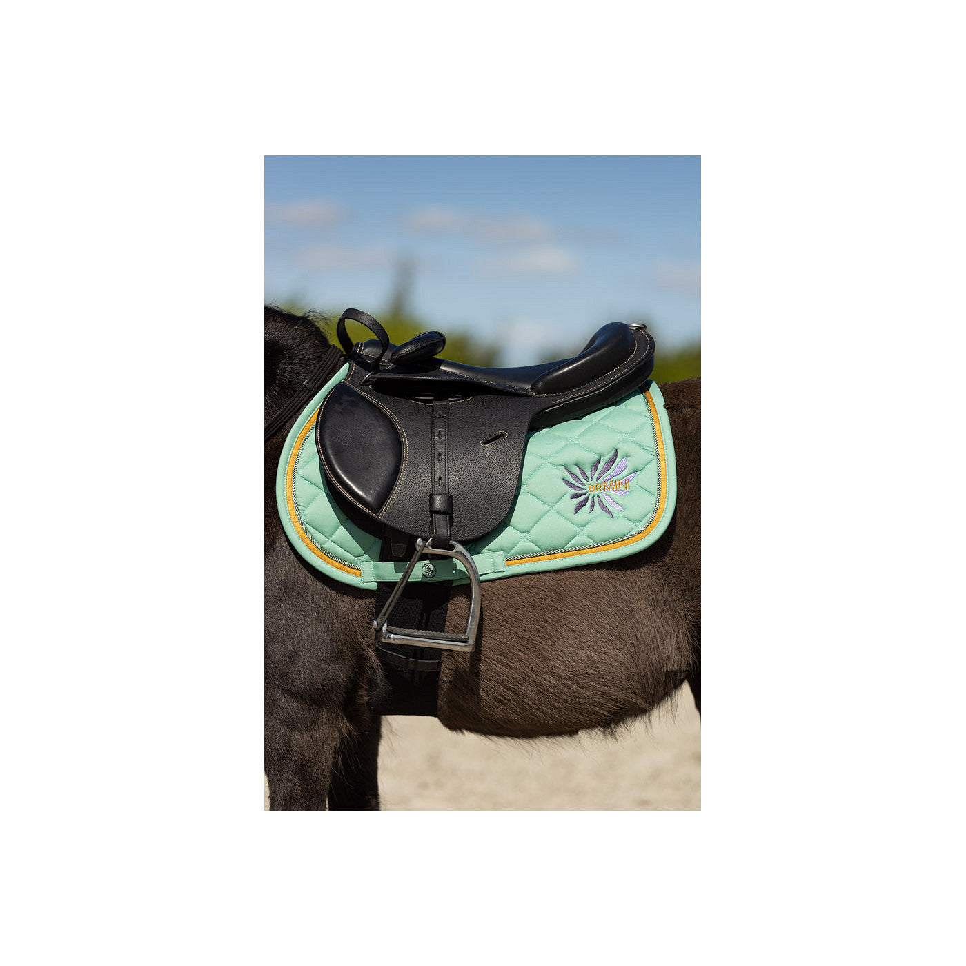 BR Mini Horse Saddle Pad