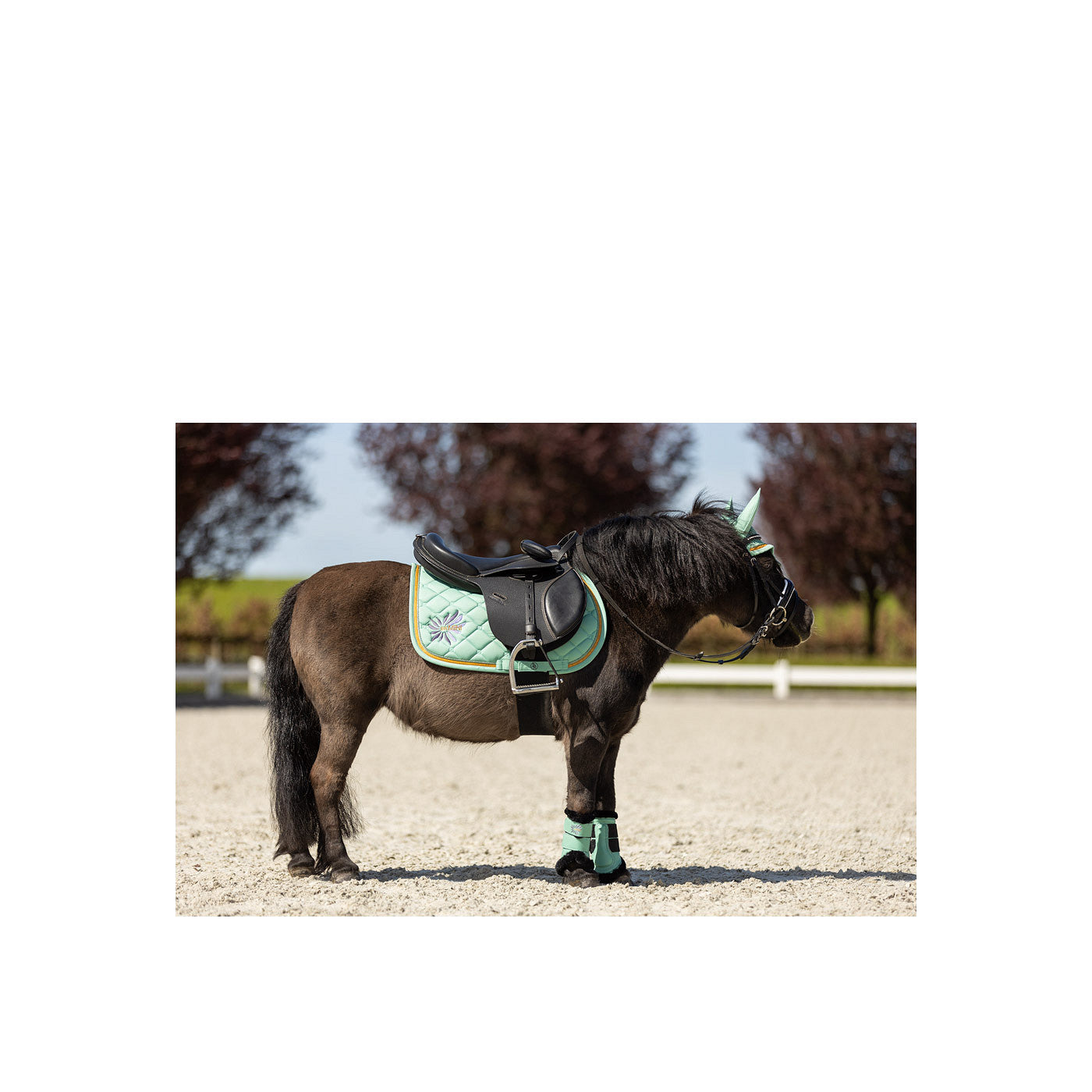 BR Mini Horse Saddle Pad