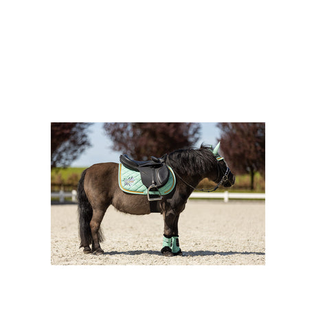 BR Mini Horse Saddle Pad