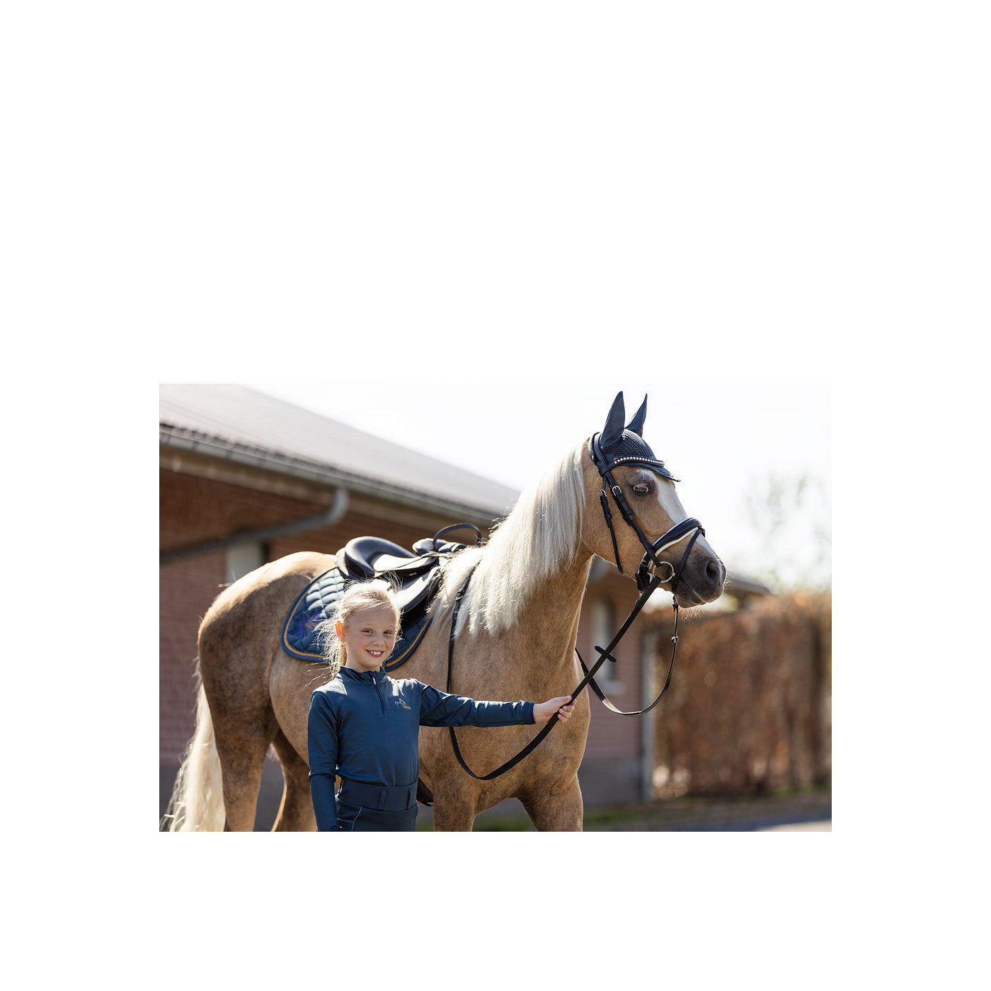 BR Mini Horse Saddle Pad