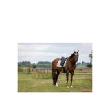 BR Saddle Pad Glamour Chic dr