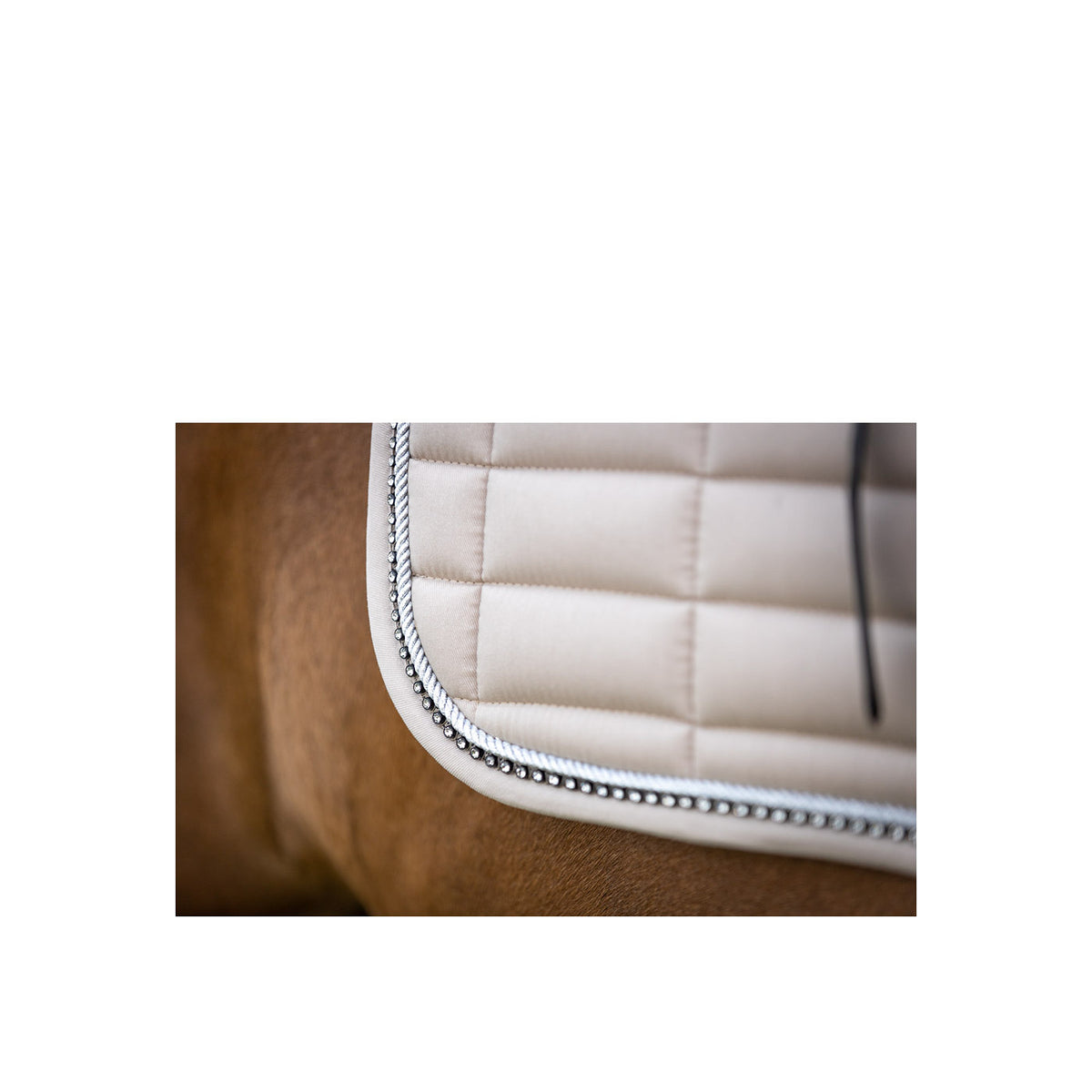BR Saddle Pad Glamour Chic dr