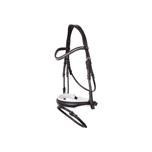 BR Bridle Southam