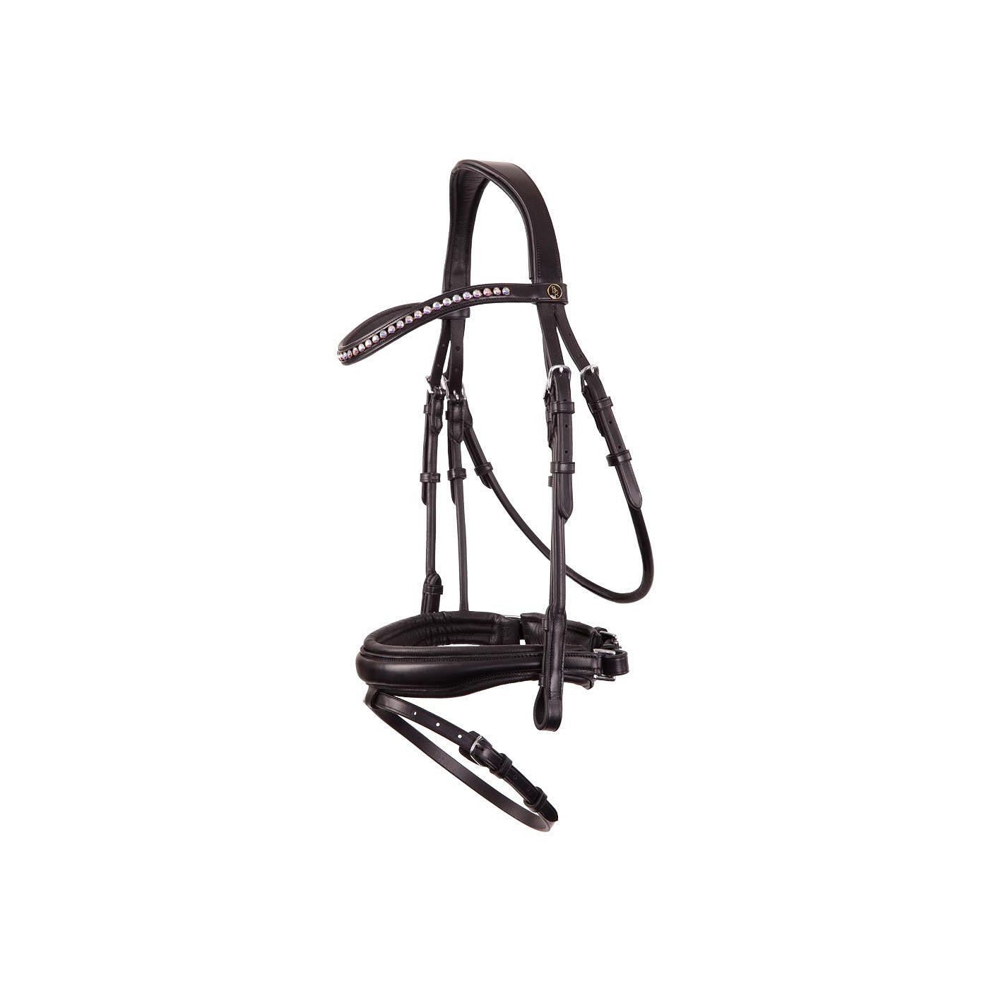 BR Bridle Southam