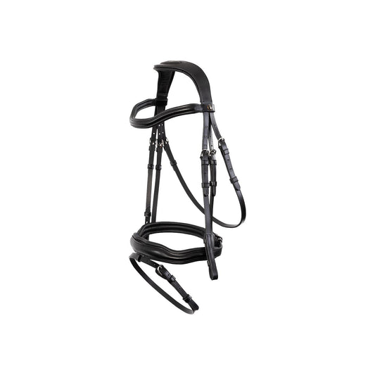 BR Luton combined noseband bridle