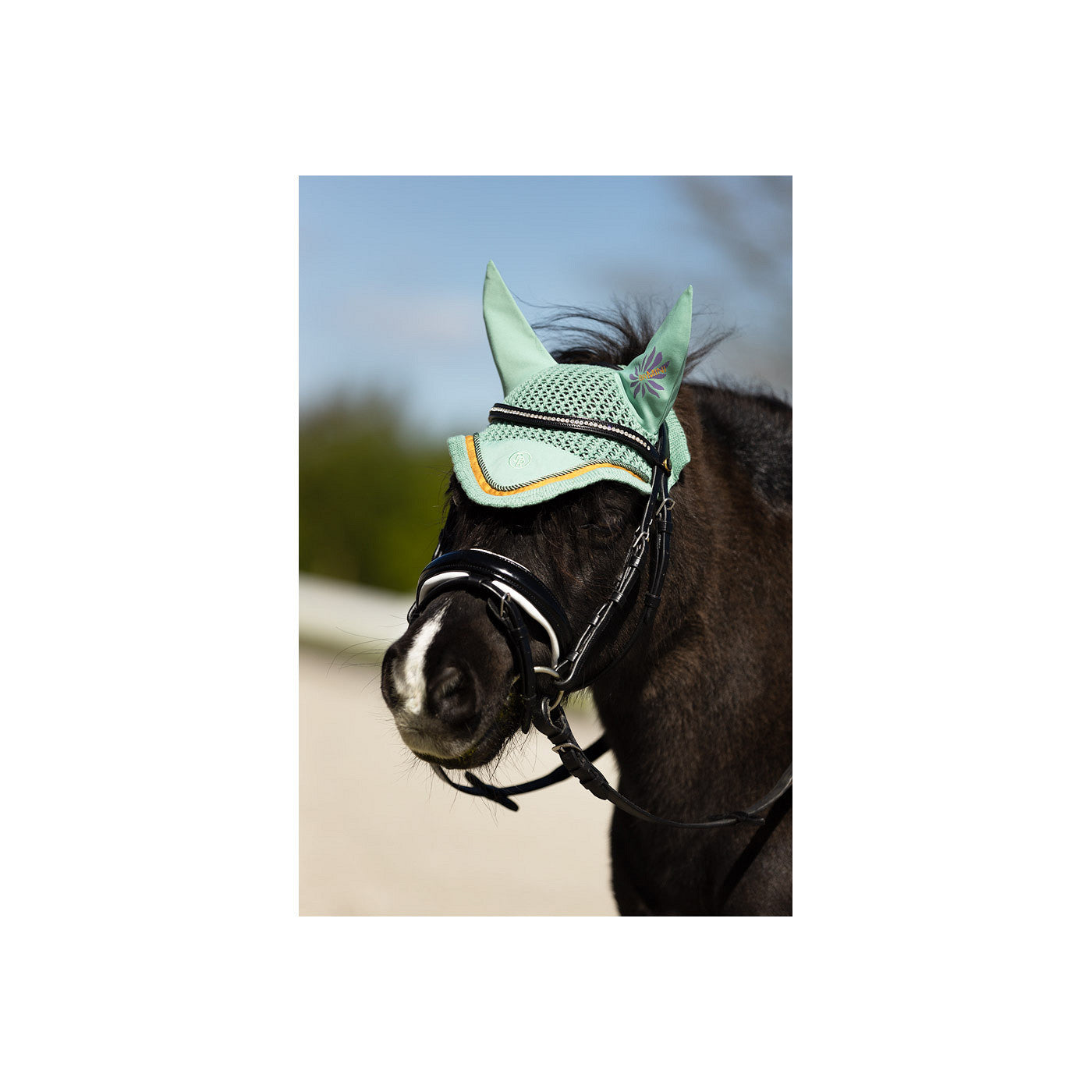 BR Mini Bridle Horwich