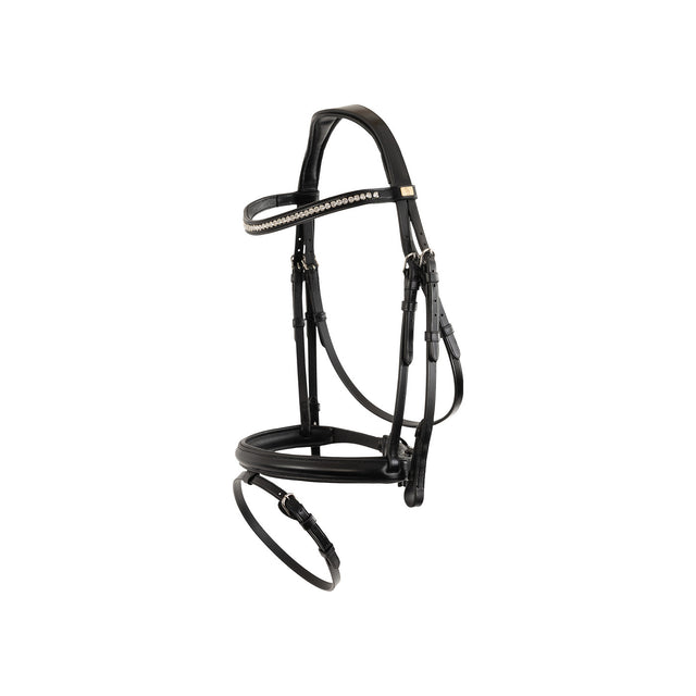 BR Bridle Shildon