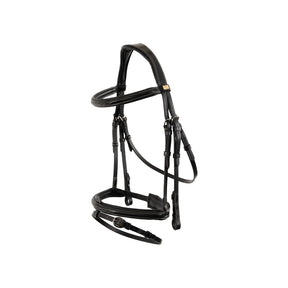 BR Bridle Sunderland