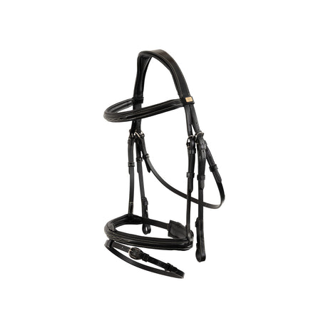 BR Bridle Sunderland
