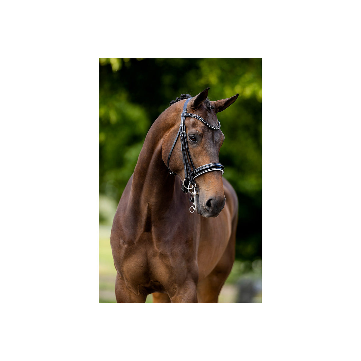 BR Weymouth Bridle Wendover