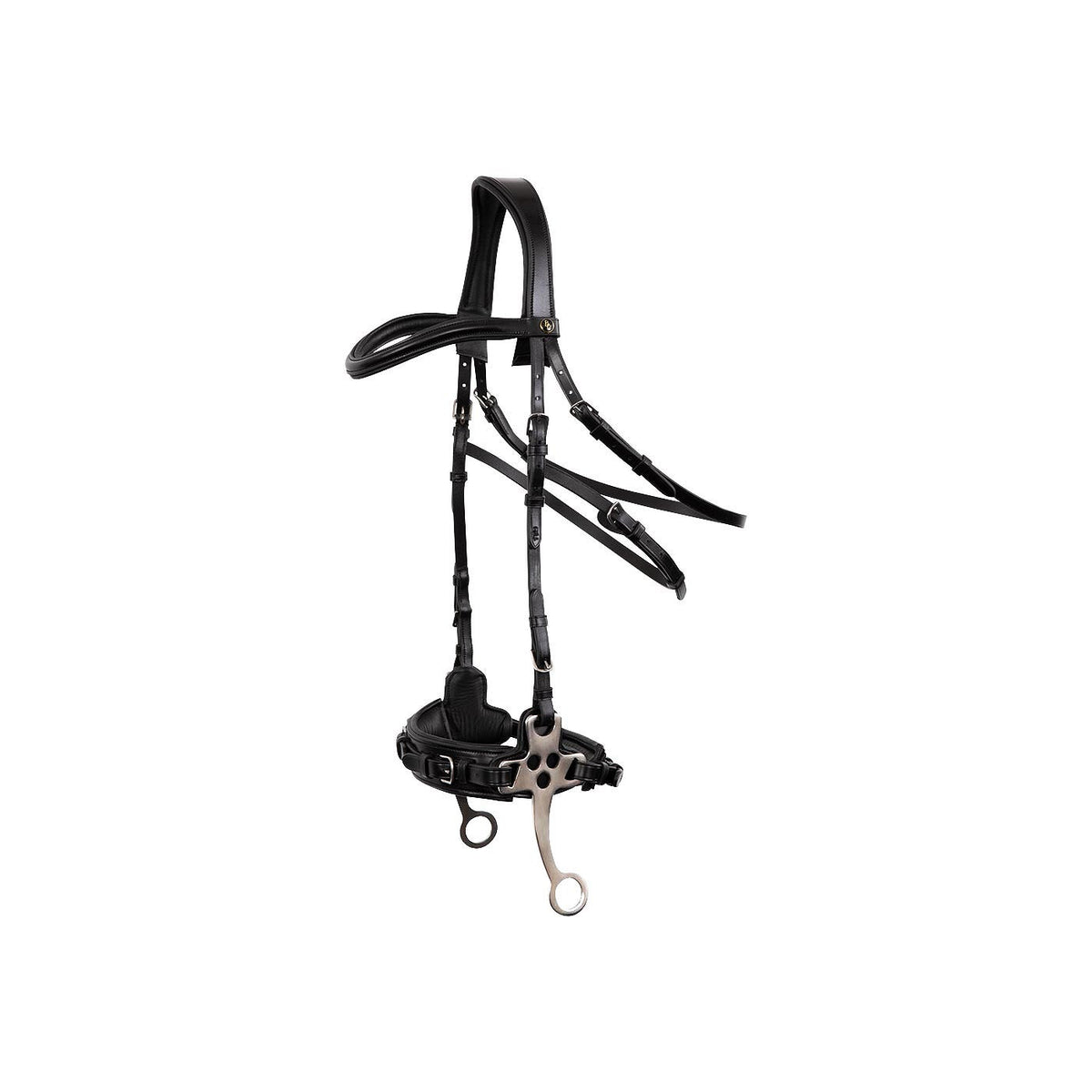 BR Bridle Lydney