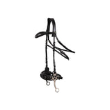 BR Bridle Lydney