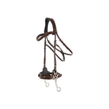 BR Bridle Lydney