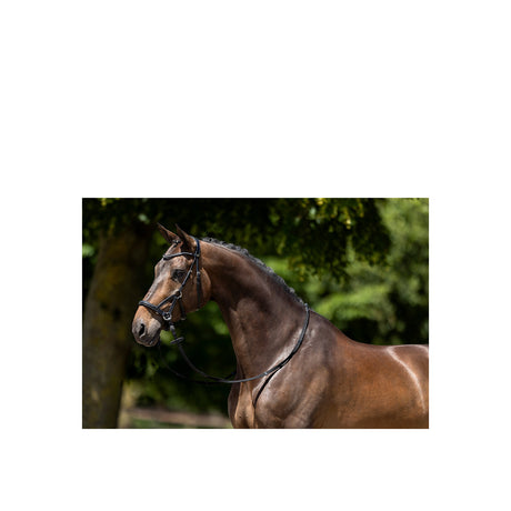 BR Bridle Lewes Side and Pull