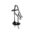 BR Bridle Thornbury