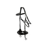 BR Bridle Thornbury
