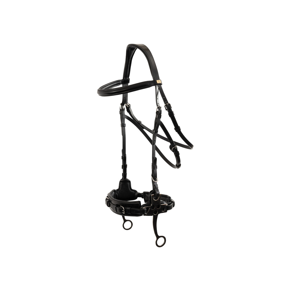 BR Bridle Thornbury