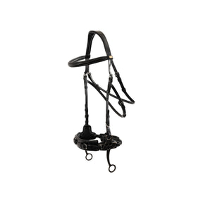 BR Bridle Thornbury