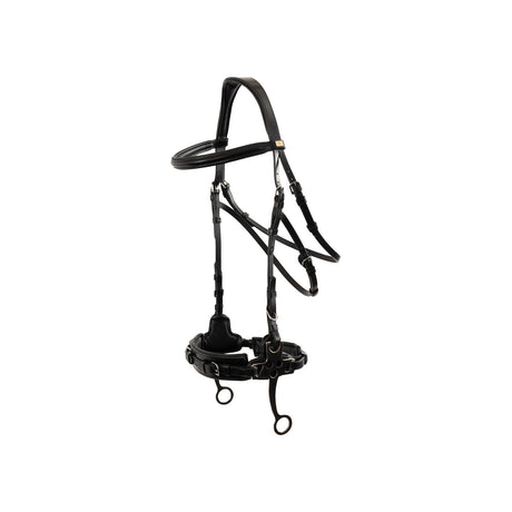 BR Bridle Thornbury