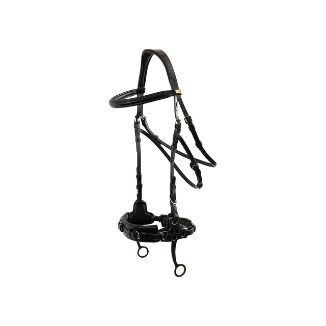 BR Bridle Thornbury