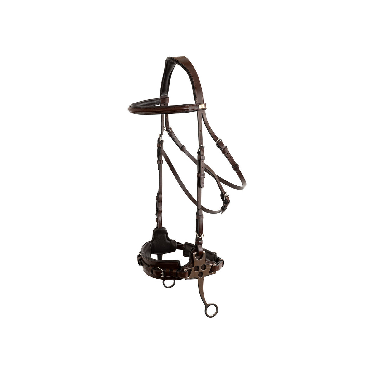 BR Bridle Thornbury
