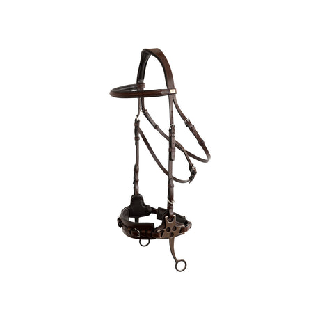 BR Bridle Thornbury