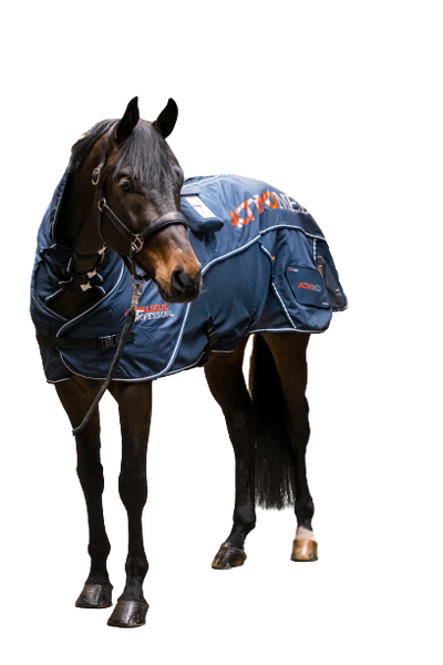 Professional Solo Blanket