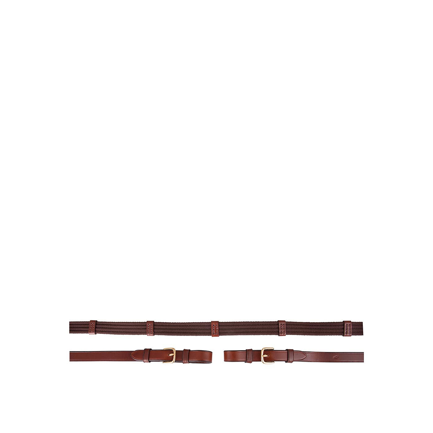 BR Web Reins