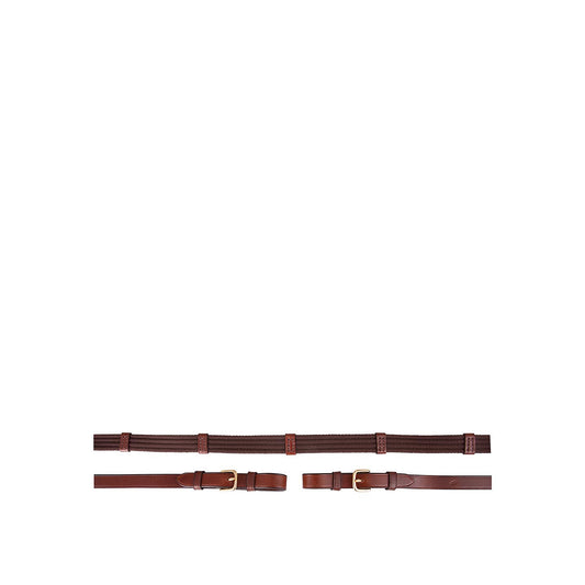 BR Web Reins