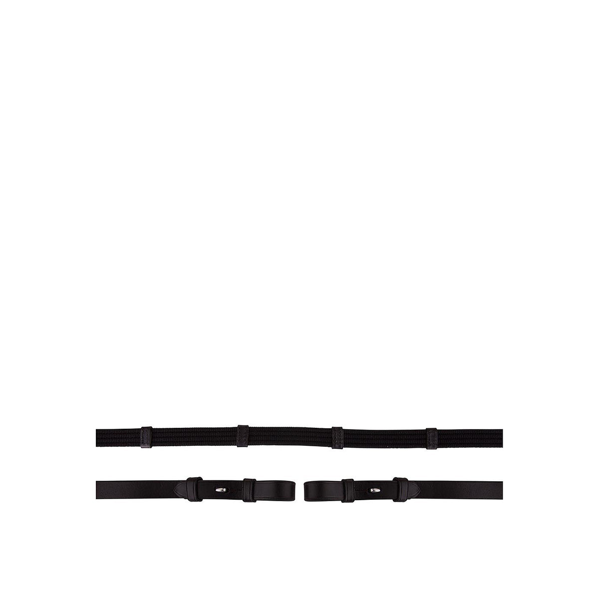 BR Web Reins