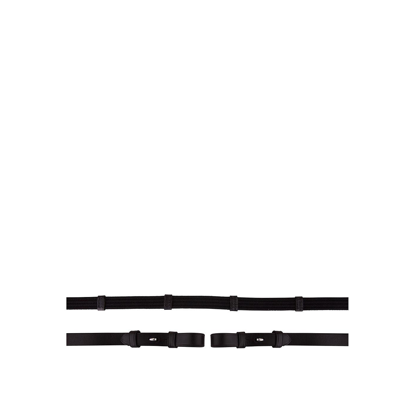 BR Web Reins