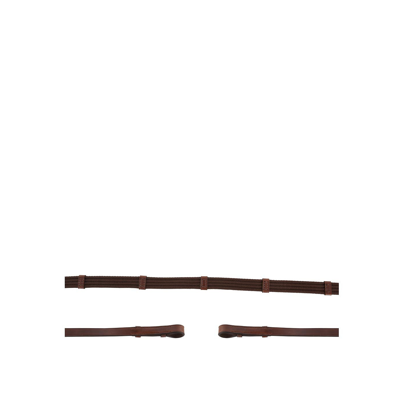 BR Web Reins