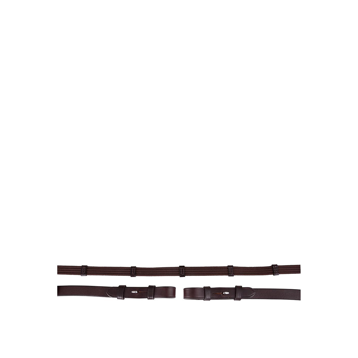 BR Web Reins