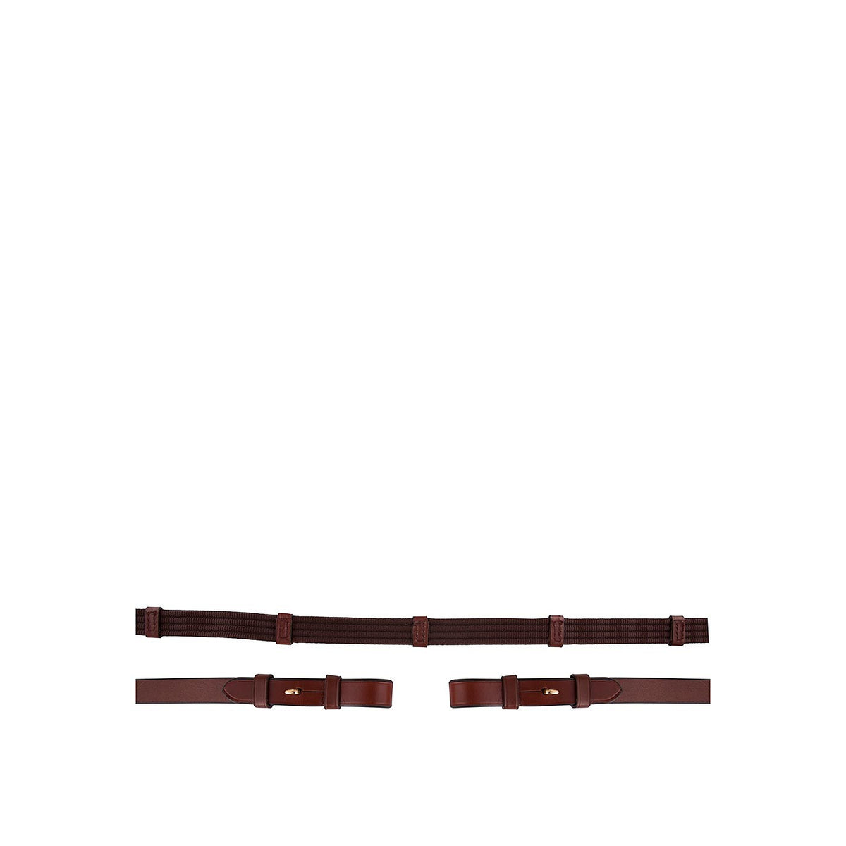 BR Web Reins