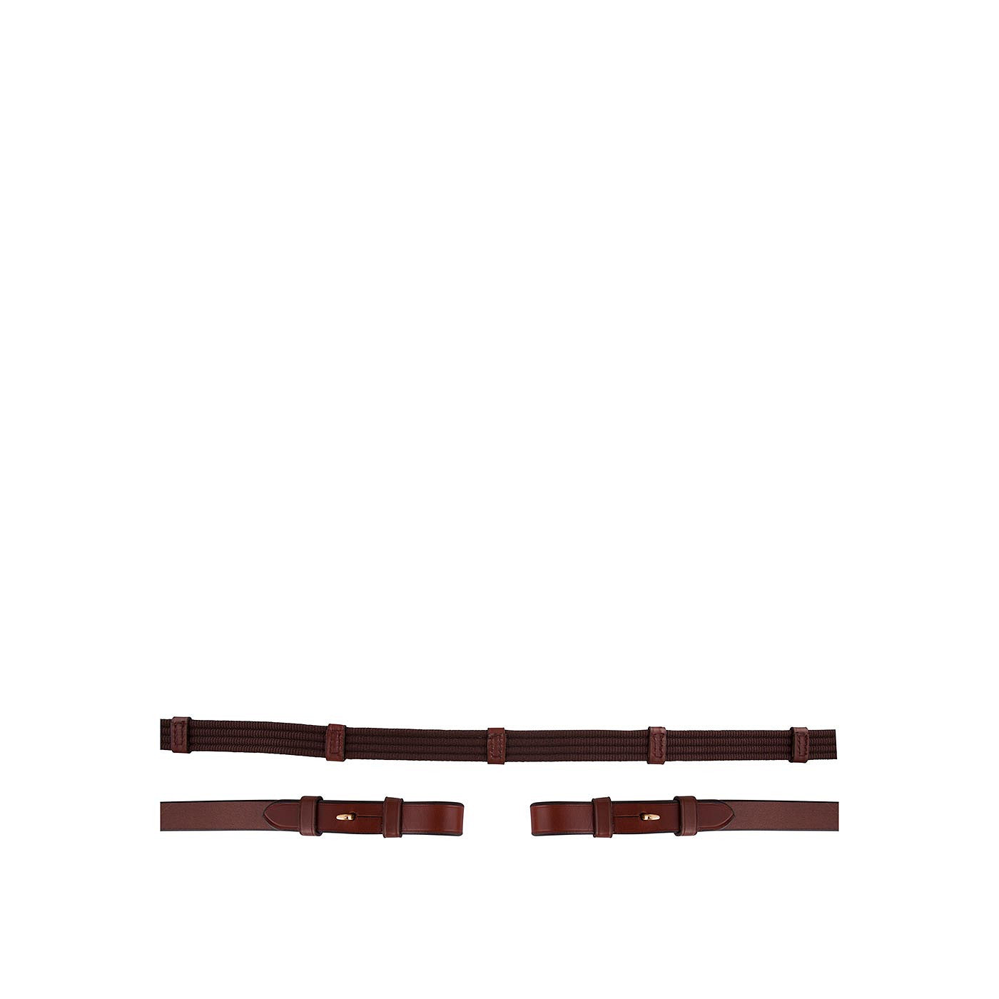 BR Web Reins