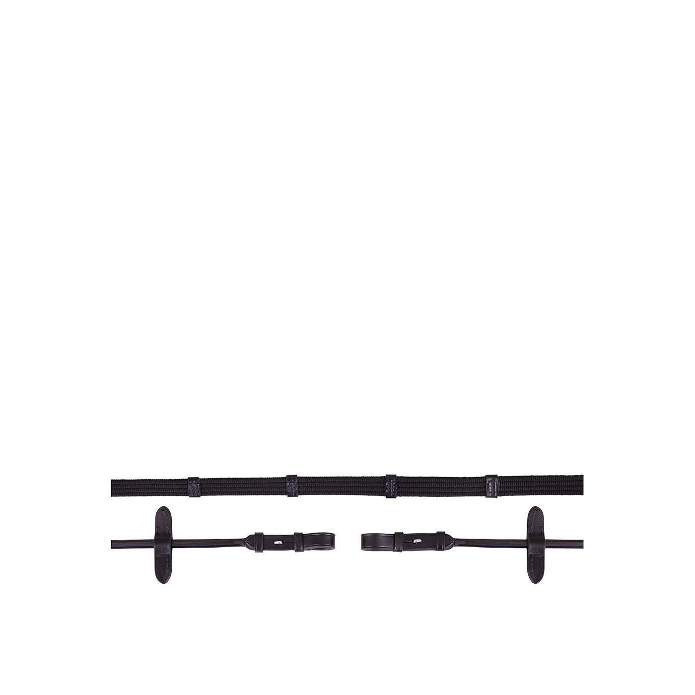 BR Web Reins