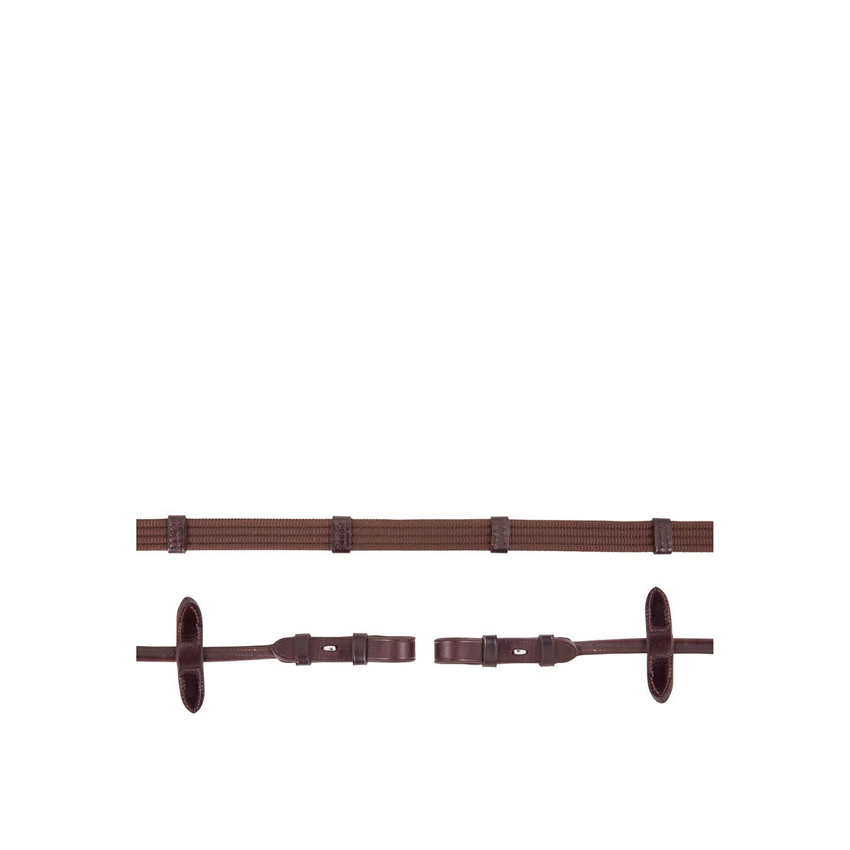 BR Web Reins