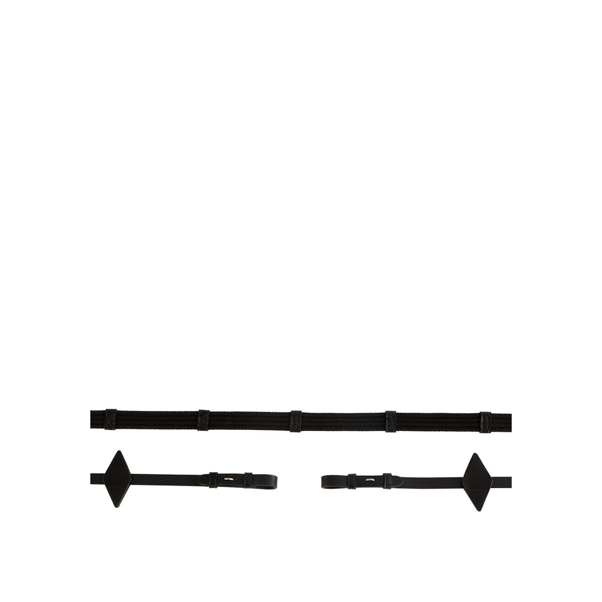 BR Reins Web