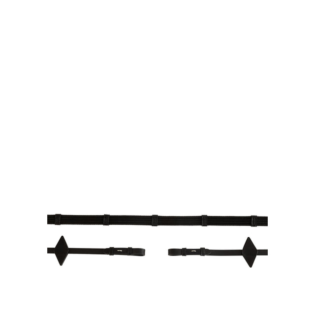 BR Reins Web