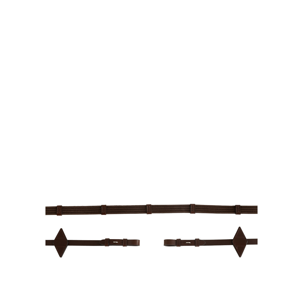 BR Reins Web
